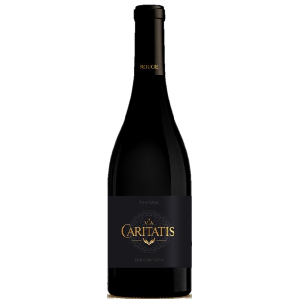 Caritatis - Lux Excelsior