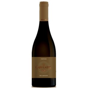 Caritatis - Pax in Terra 