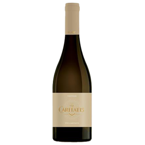 Caritatis - Vox Turturis