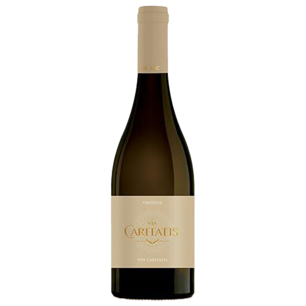 Caritatis - Vox Turturis