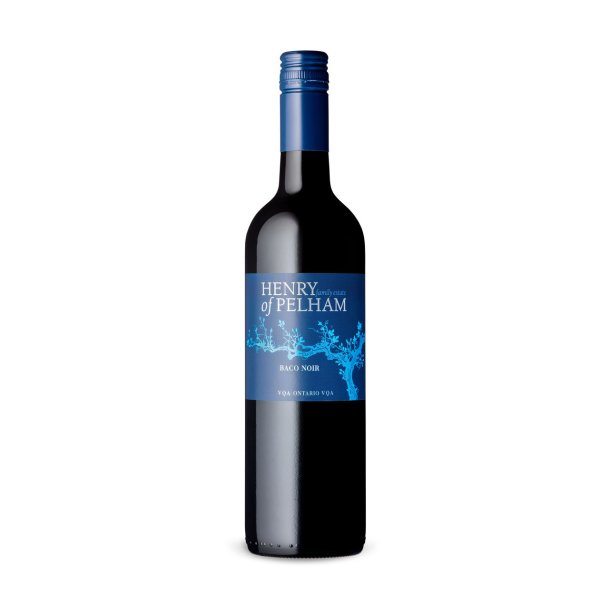 Henry of Pelham, Baco Noir 